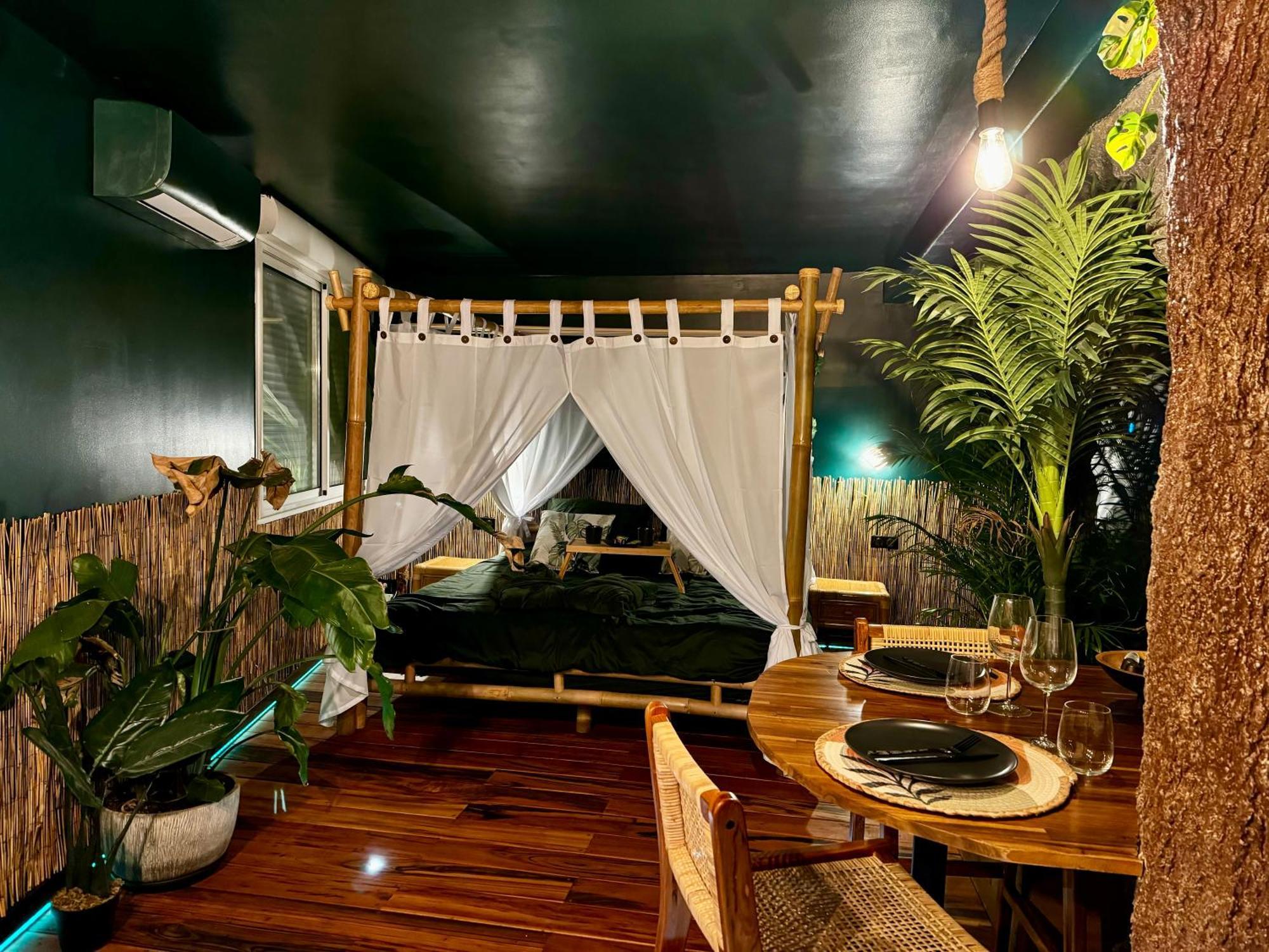 Appartement Jungle